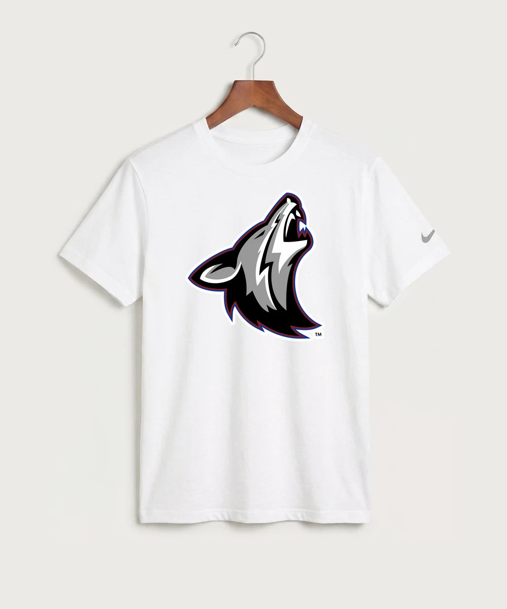 Heron Lake-Okabena High School Football (Boys) - White Nike Swoosh Sleeve rLegend Tee NKDX8730