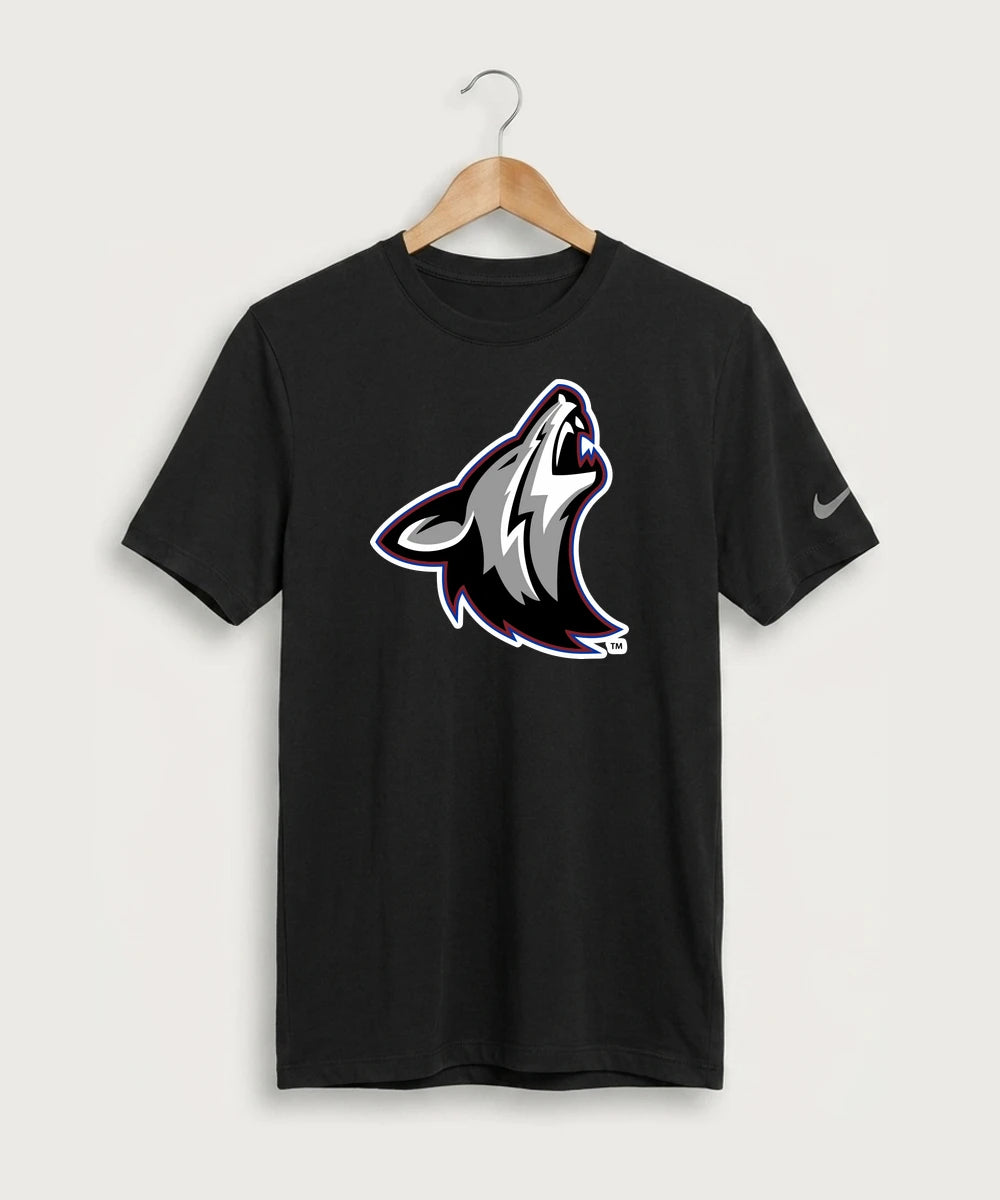 Heron Lake-Okabena High School Football (Boys) - Black Nike Swoosh Sleeve rLegend Tee NKDX8730