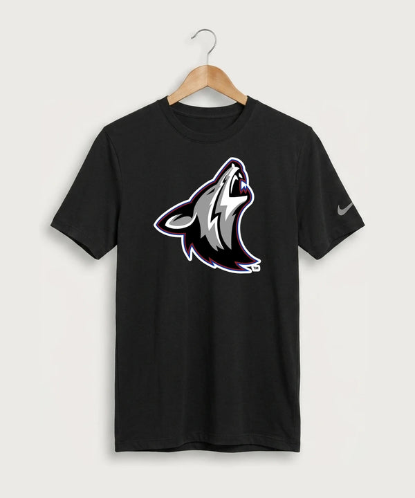 Heron Lake-Okabena High School Football (Boys) - Black Nike Swoosh Sleeve rLegend Tee NKDX8730