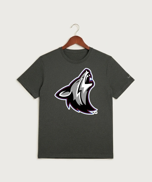 Heron Lake-Okabena High School Football (Boys) - Dark Smoke Heather Nike Swoosh Sleeve rLegend Tee NKDX8730