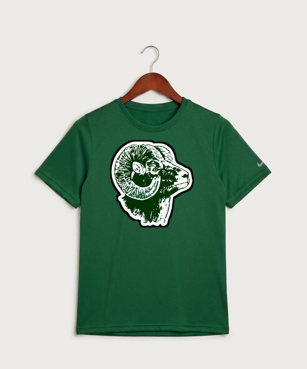 Roseau High School Football (Boys) - Gorge Green Nike Youth Swoosh Sleeve rLegend Tee NKDX8787