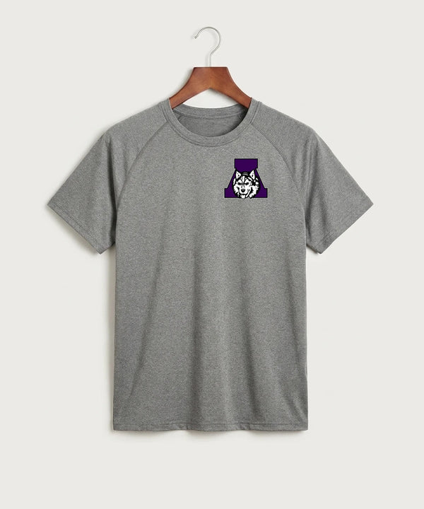Albany High School Cheerleading - Gray Tee