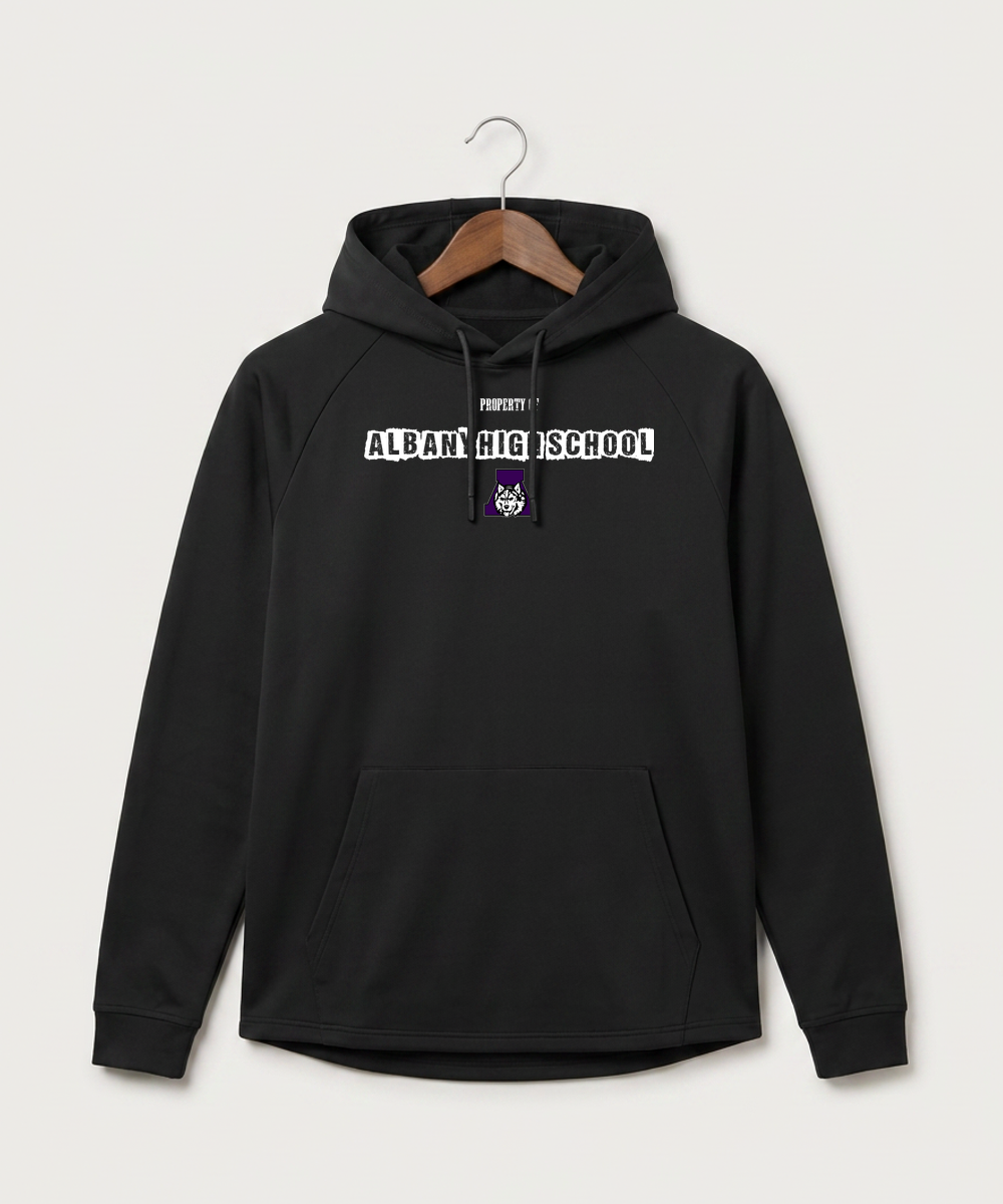 Albany High School Athletics - Black Hoodie - Full Front
