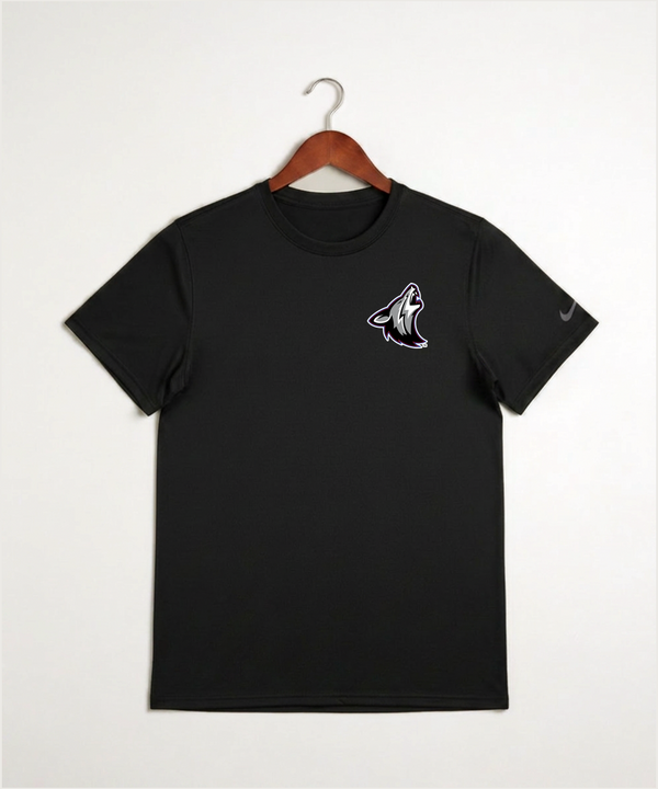 Heron Lake-Okabena High School Football (Boys) - Black Nike Swoosh Sleeve rLegend Tee NKDX8730