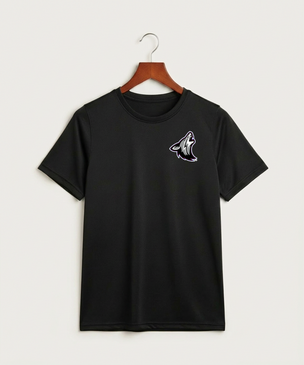 Heron Lake-Okabena High School Football (Boys) - Black Nike Youth Swoosh Sleeve rLegend Tee NKDX8787