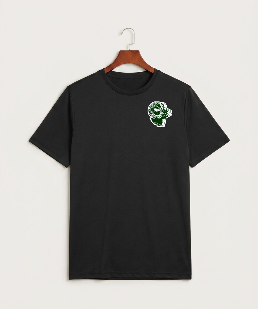 Roseau High School Football (Boys) - Black Sport-Tek PosiCharge Competitor Tee. ST350