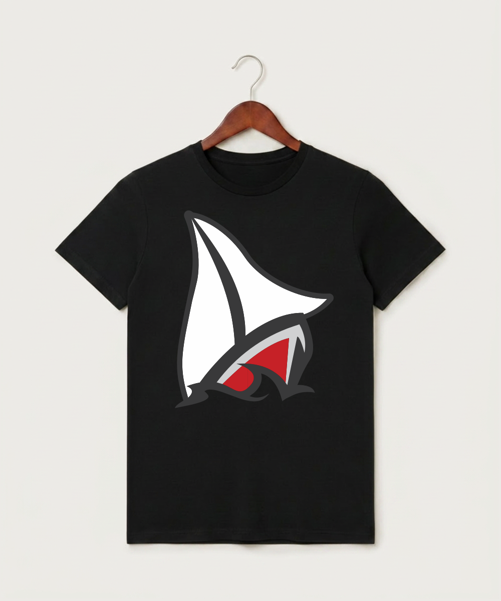 Detroit Lakes Community High School Football (Boys) - Black T-Shirt - Full Front