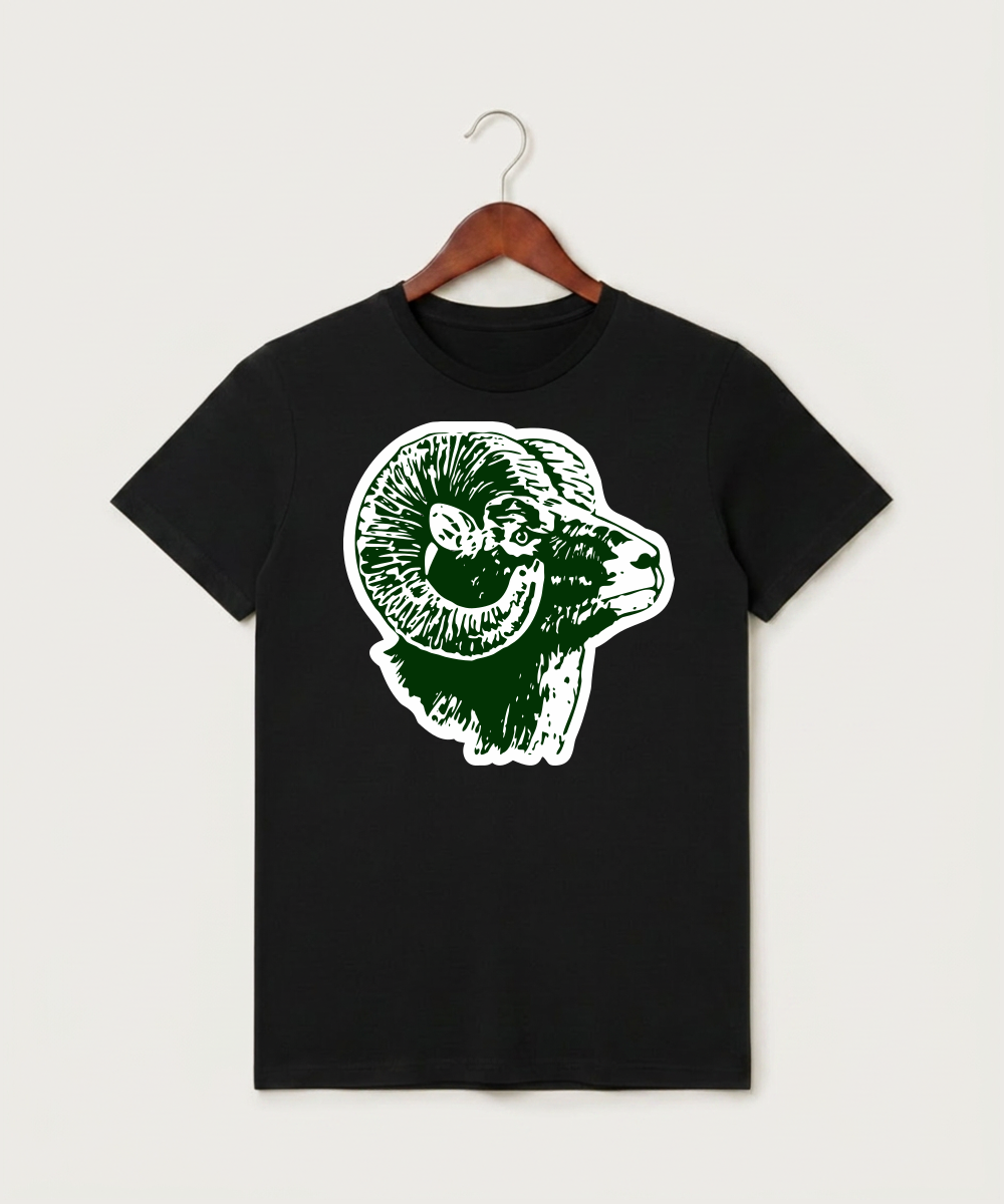Roseau High School Football (Boys) - Black T-Shirt - Full Front