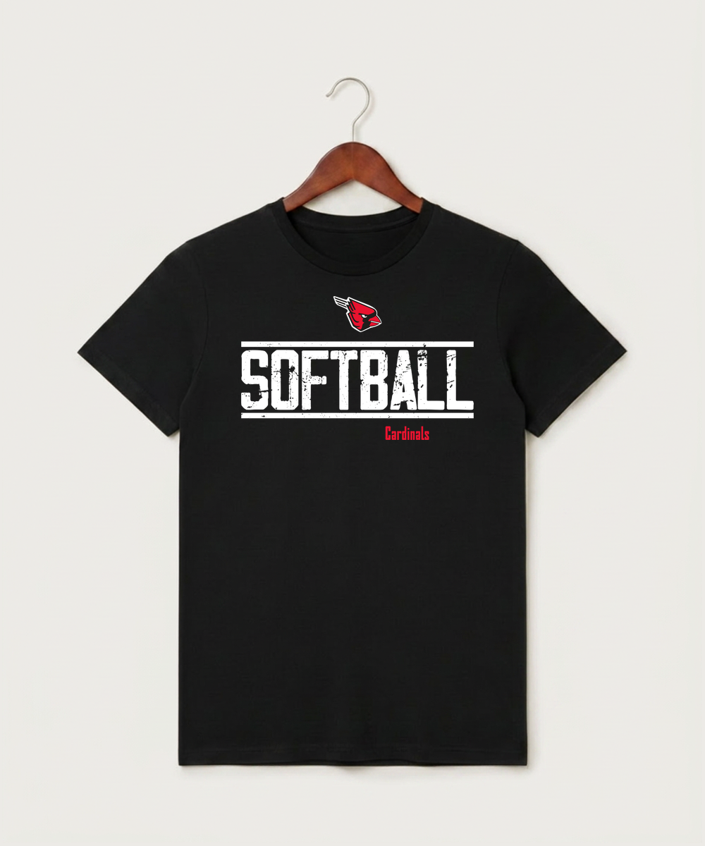 Next Level Unisex Sueded Tee