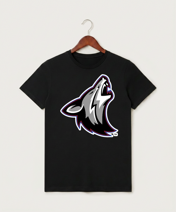Heron Lake-Okabena High School Football (Boys) - Black T-Shirt - Full Front
