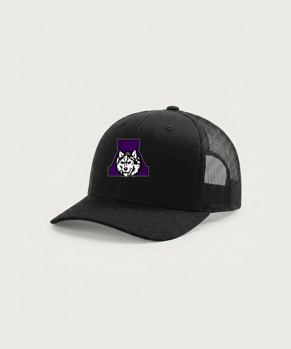 Albany High School Cheerleading - Black Hat - Full Front