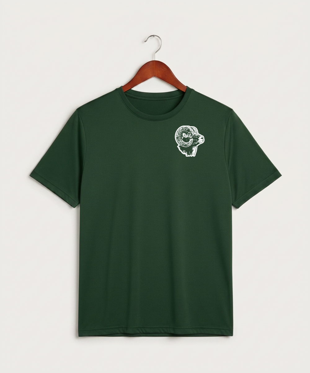 Roseau High School Football (Boys) - Forest Green Sport-Tek PosiCharge Competitor Tee. ST350