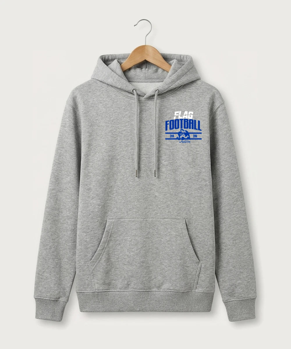 Codex Team Store Proof Reference - Heather Grey Hoodie Value