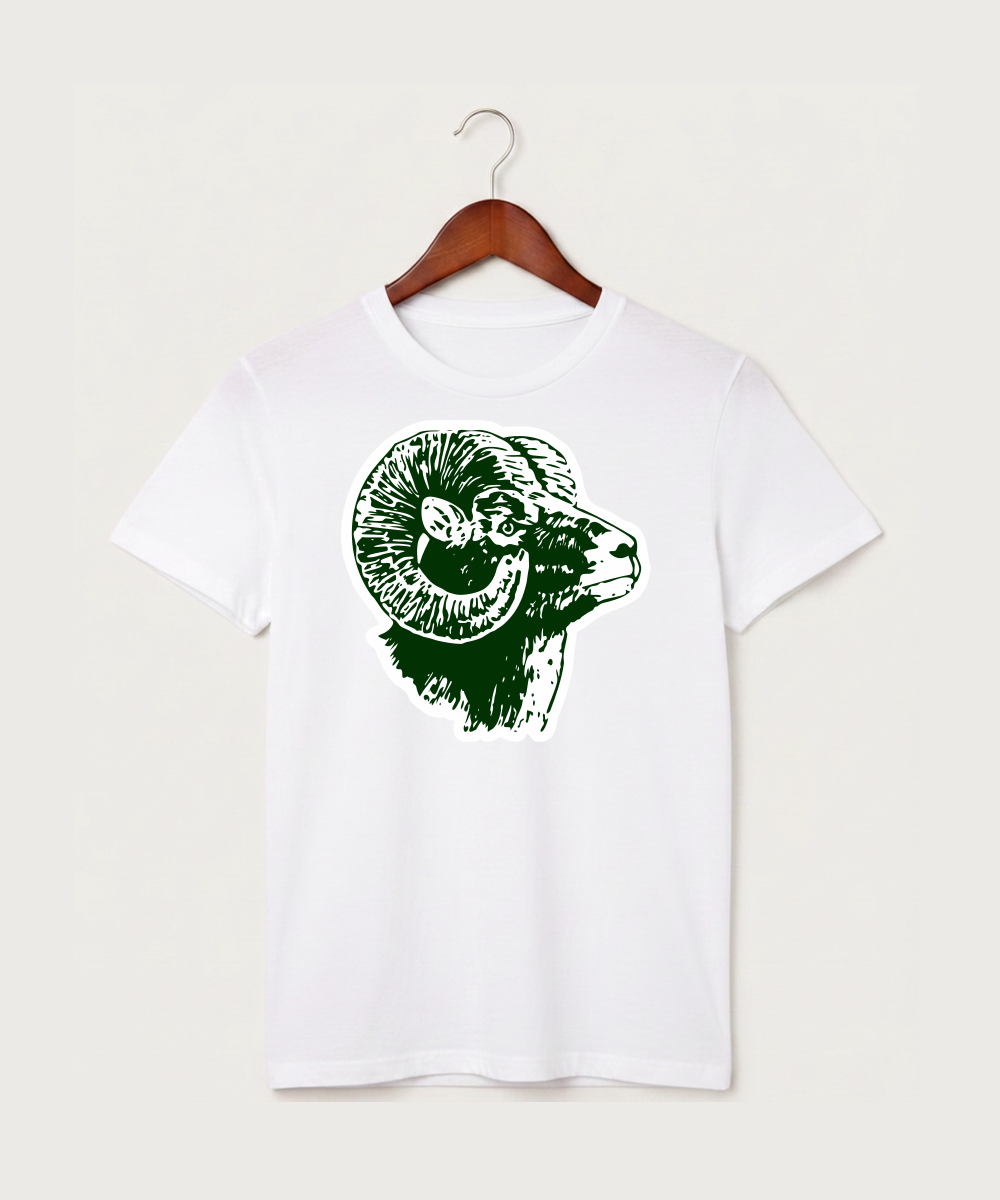 Roseau High School Football (Boys) - White T-Shirt - Full Front