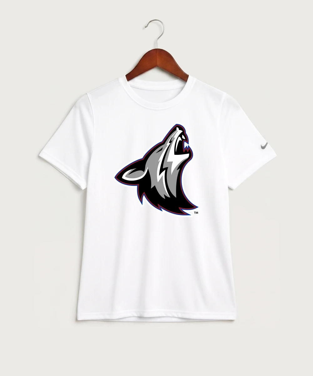 Heron Lake-Okabena High School Football (Boys) - White Nike Youth Swoosh Sleeve rLegend Tee NKDX8787