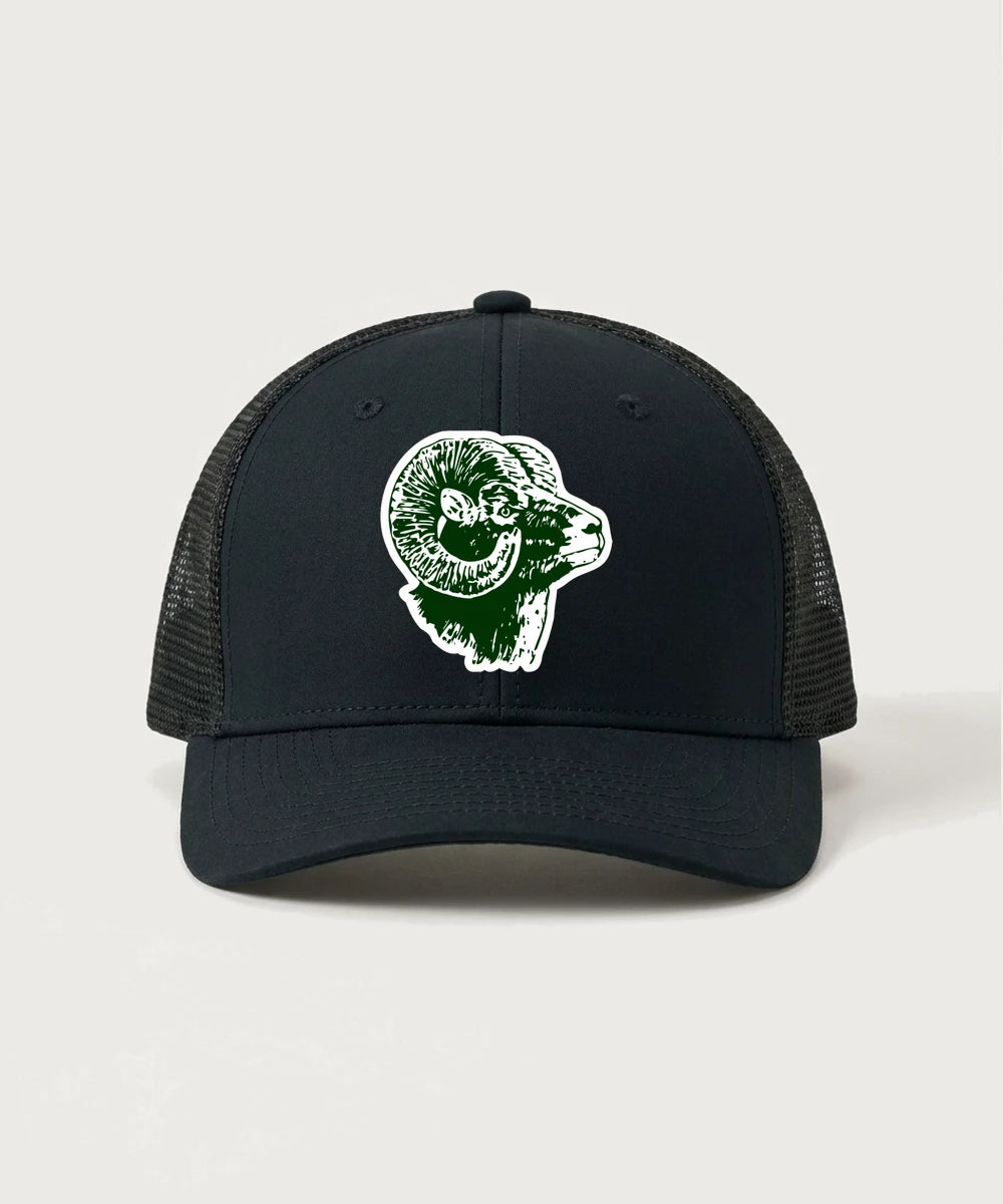 Roseau High School Football (Boys) - Black/ Black Sport-Tek Club Trucker Cap STC46