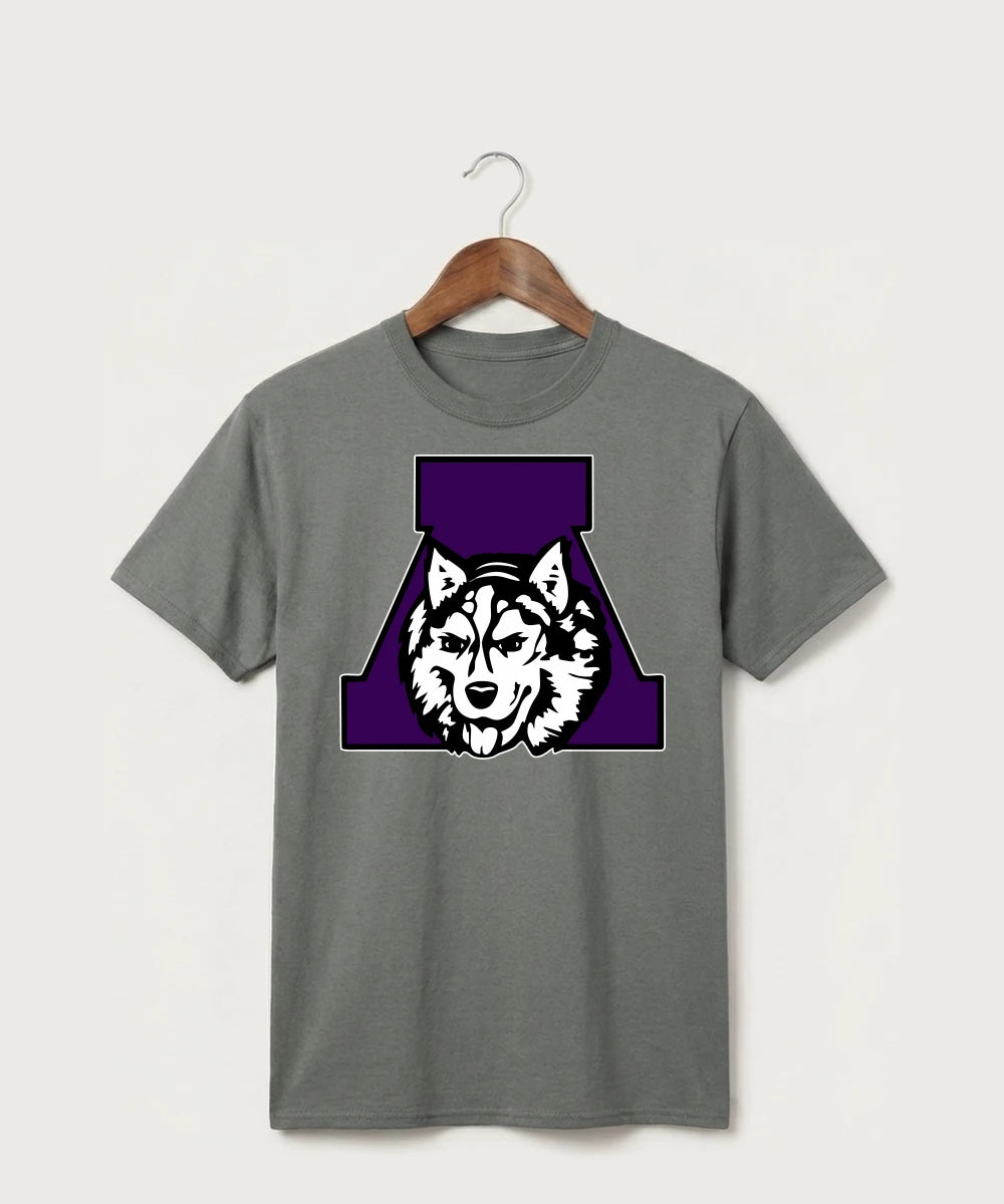 Albany High School Football (Boys) - Medium Grey Port & Co Core Cotton Tee. PC54
