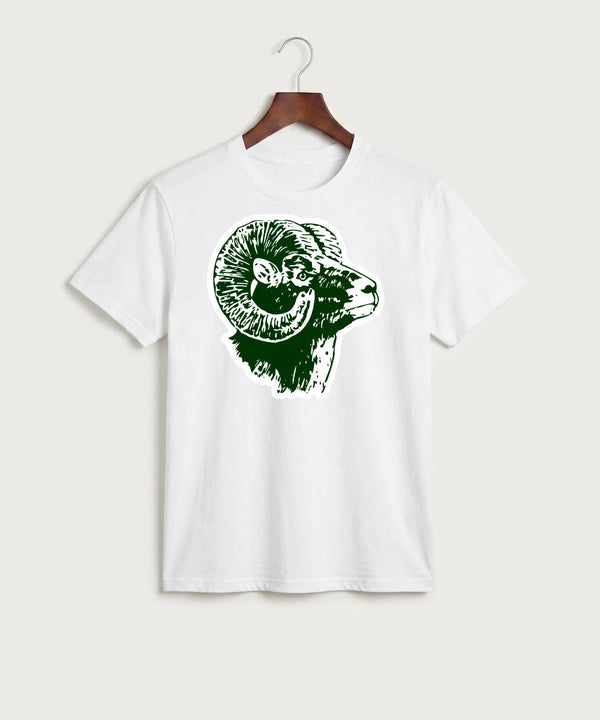 Roseau High School Football (Boys) - White Port & Co Core Cotton Tee. PC54