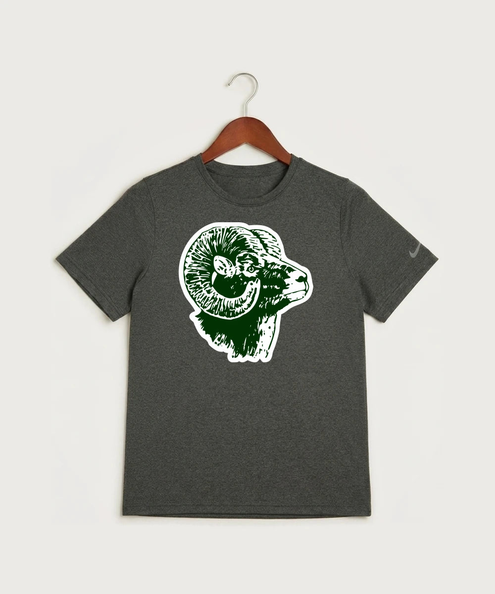 Roseau High School Football (Boys) - Dark Smoke Heather Nike Youth Swoosh Sleeve rLegend Tee NKDX8787
