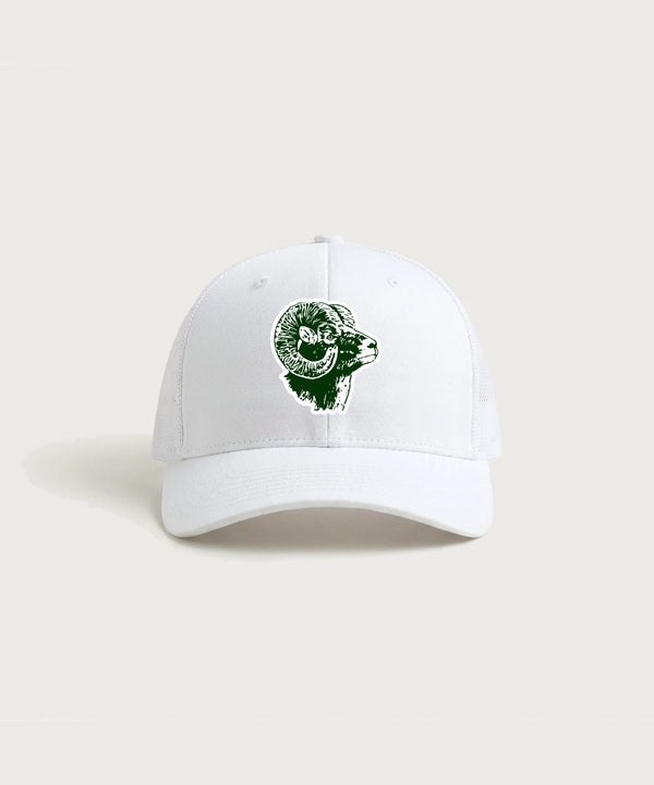 Roseau High School Football (Boys) - White/ White Sport-Tek Club Trucker Cap STC46
