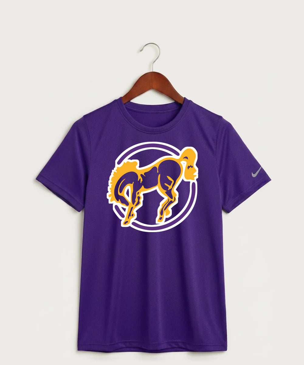 International Falls High School Football (Boys) - Court Purple Nike Youth Swoosh Sleeve rLegend Tee NKDX8787