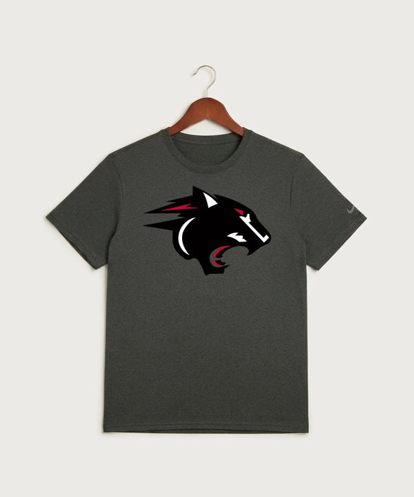 Nrheg Panthers High School Football (Boys) - Dark Smoke Heather Nike Swoosh Sleeve rLegend Tee NKDX8730