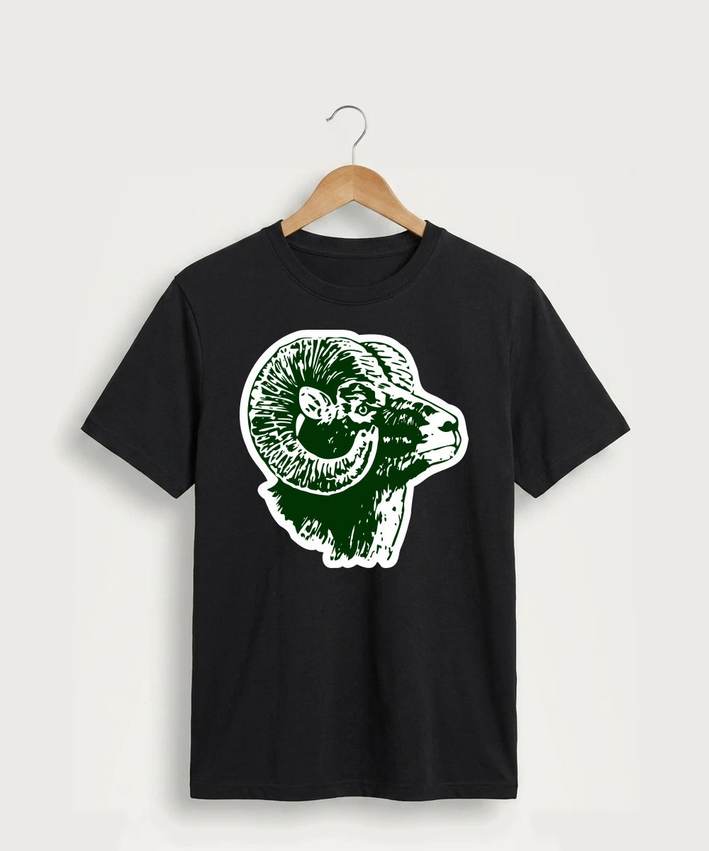 Roseau High School Football (Boys) - Jet Black Port & Co Core Cotton Tee. PC54