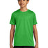 Ashwaubenon High School Football - Apple Green Nike Youth Swoosh Sleeve rLegend Tee NKDX8787