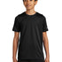DC Everest Middle School Football — example store - Black Nike Youth Swoosh Sleeve rLegend Tee NKDX8787