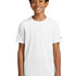 TEST: Ashwaubenon Baseball - White Nike Youth Swoosh Sleeve rLegend Tee NKDX8787