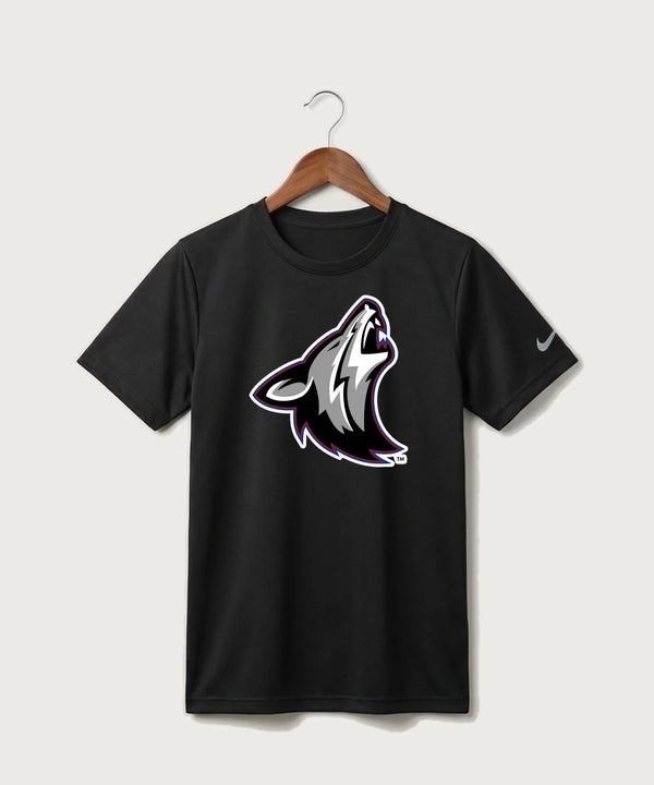 Heron Lake-Okabena High School Football (Boys) - Black Nike Youth Swoosh Sleeve rLegend Tee NKDX8787