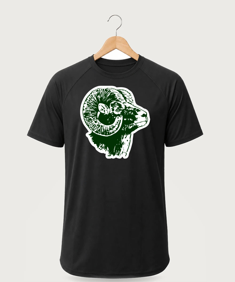 Roseau High School Football (Boys) - Black Tee