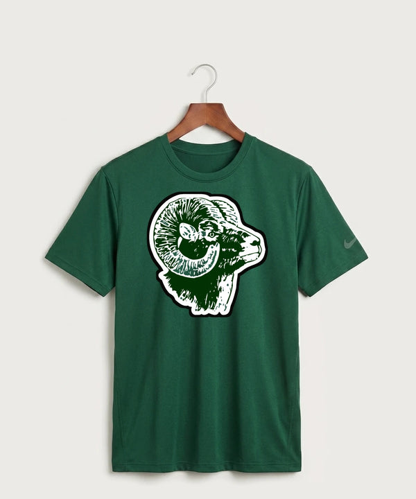 Roseau High School Football (Boys) - Gorge Green Nike Swoosh Sleeve rLegend Tee NKDX8730
