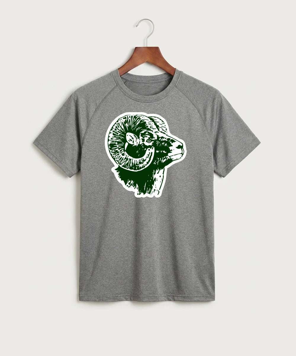 Roseau High School Football (Boys) - Gray Tee