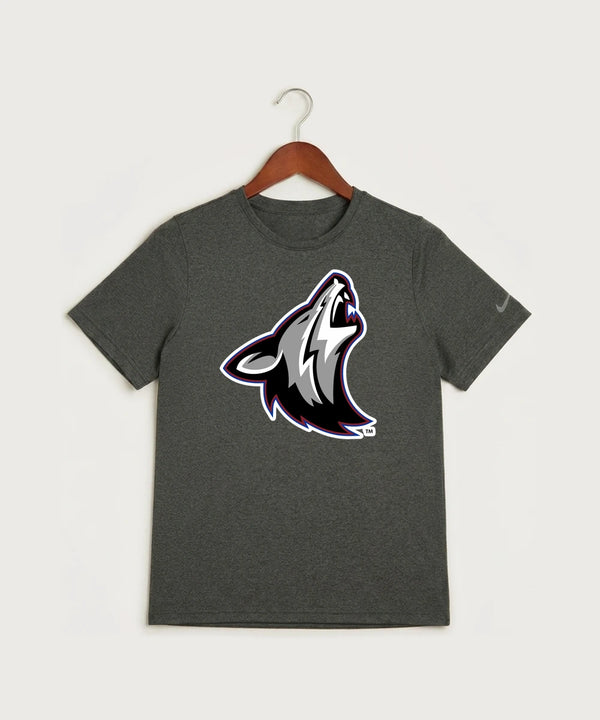 Heron Lake-Okabena High School Football (Boys) - Dark Smoke Heather Nike Youth Swoosh Sleeve rLegend Tee NKDX8787