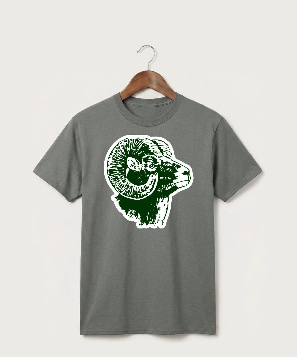 Roseau High School Football (Boys) - Medium Grey Port & Co Core Cotton Tee. PC54