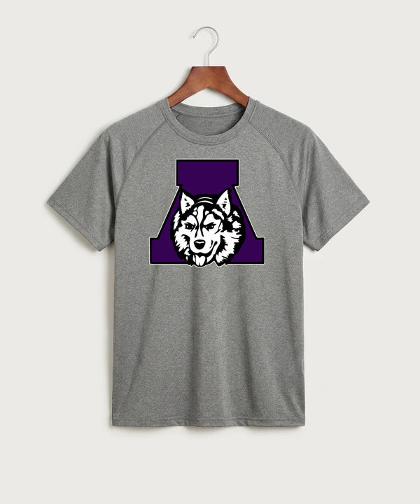 Albany High School Football (Boys) - Gray Tee