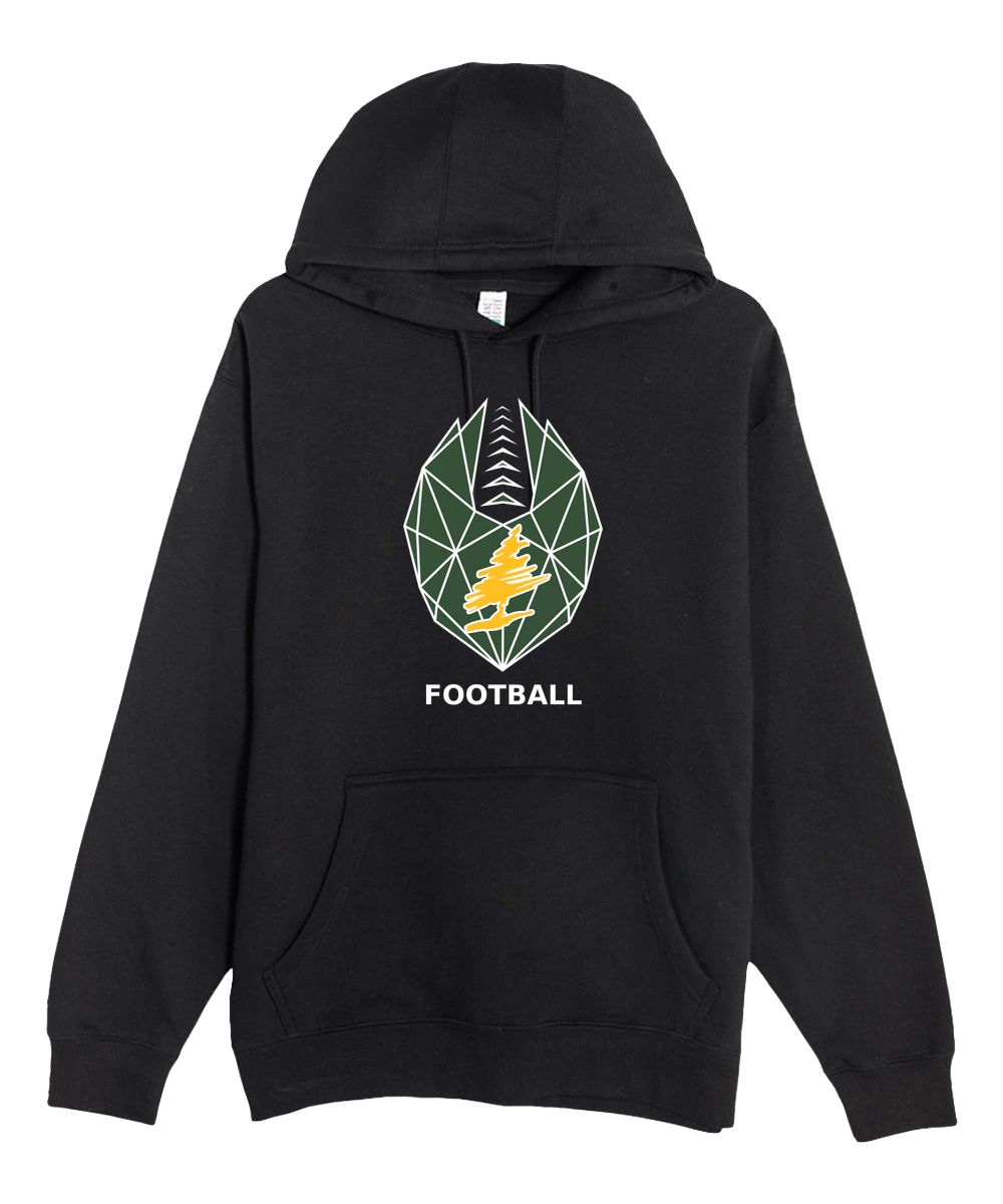 DC Everest Middle School Football — example store - Black Hoodie Value - Full Front