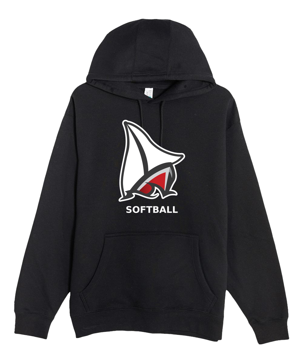 Detroit Lakes Softball - Black Hoodie Value - Full Front