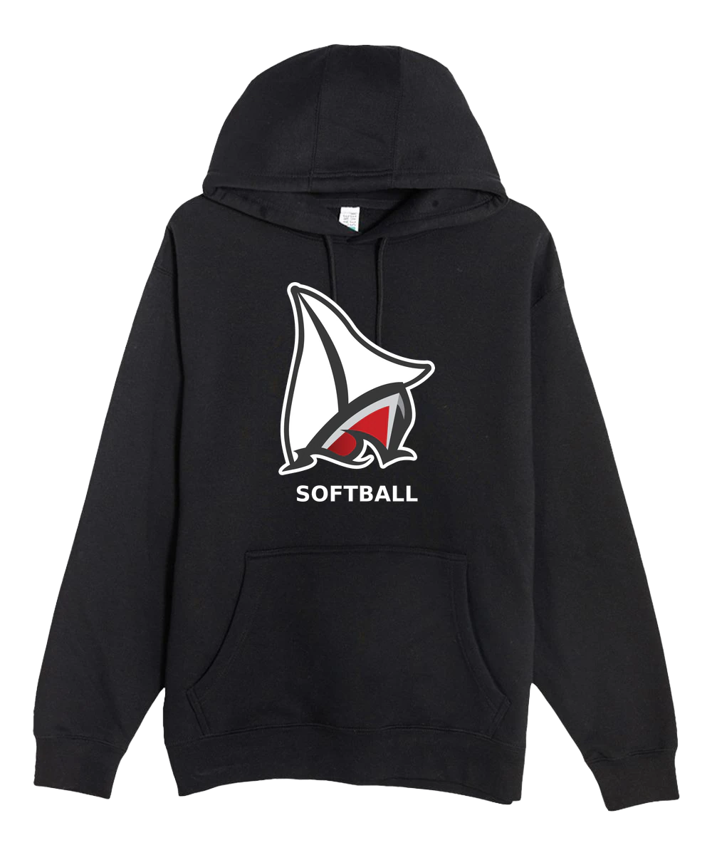 Detroit Lakes Softball - Black Hoodie Value - Full Front