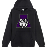 Albany Baseball and Softball - Black Hoodie Value - Full Front