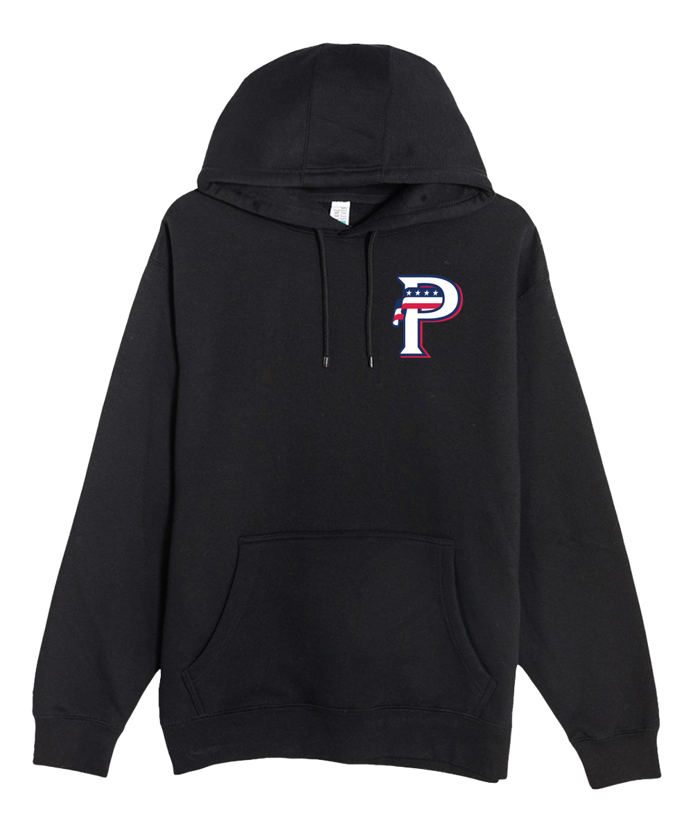 USA BASEBALL - Black Hoodie Value - Left Chest