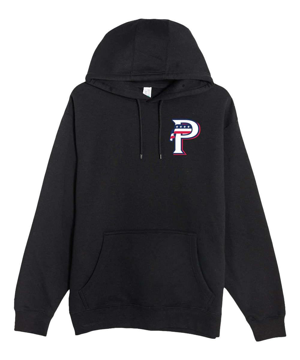 USA BASEBALL - Black Hoodie Value - Left Chest