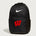 Wisconsin Hanger Test - Black Nike Brasilia Medium Backpack NKDH7709