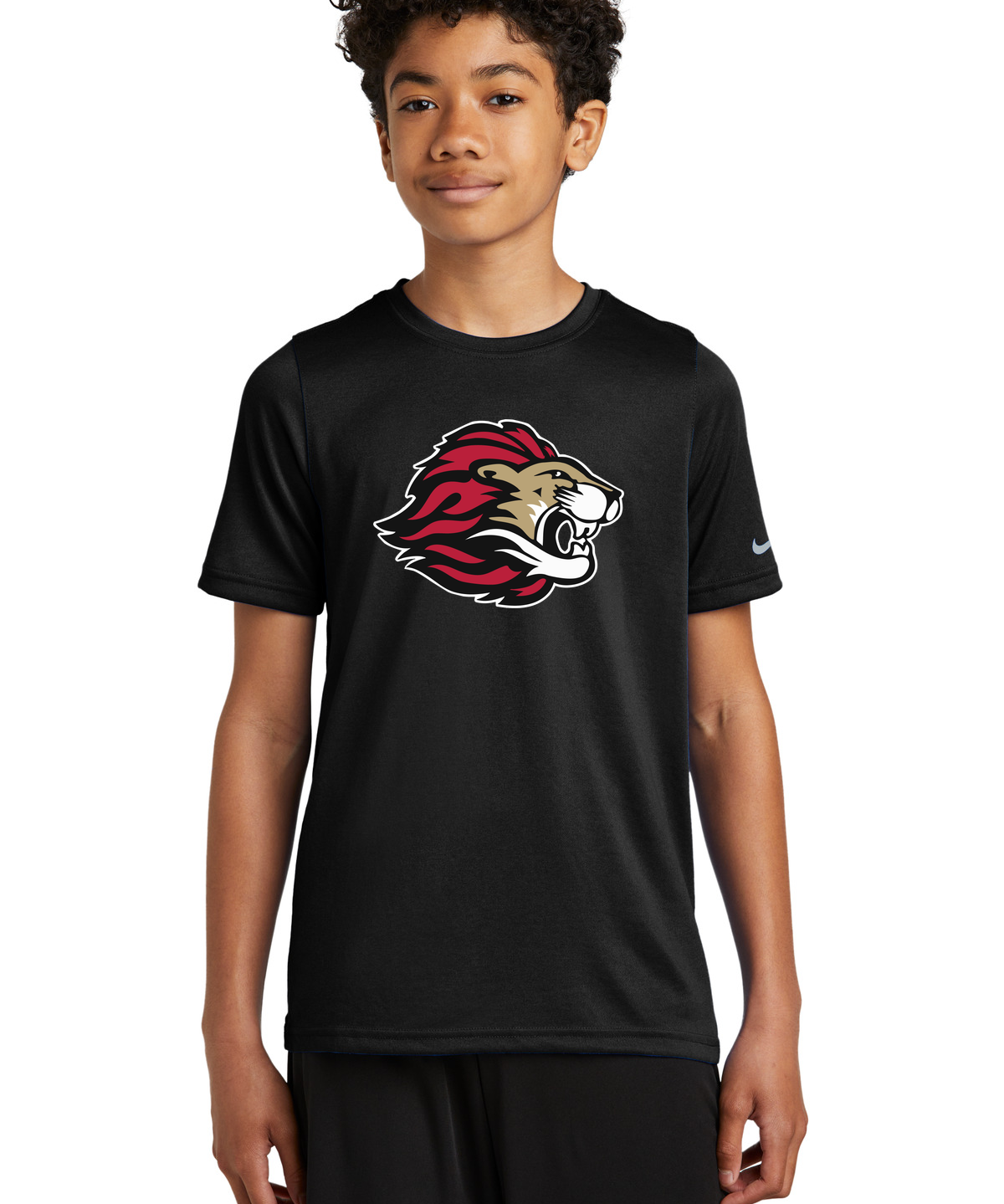 Spring Grove Football - Black Nike Youth Swoosh Sleeve rLegend Tee NKDX8787