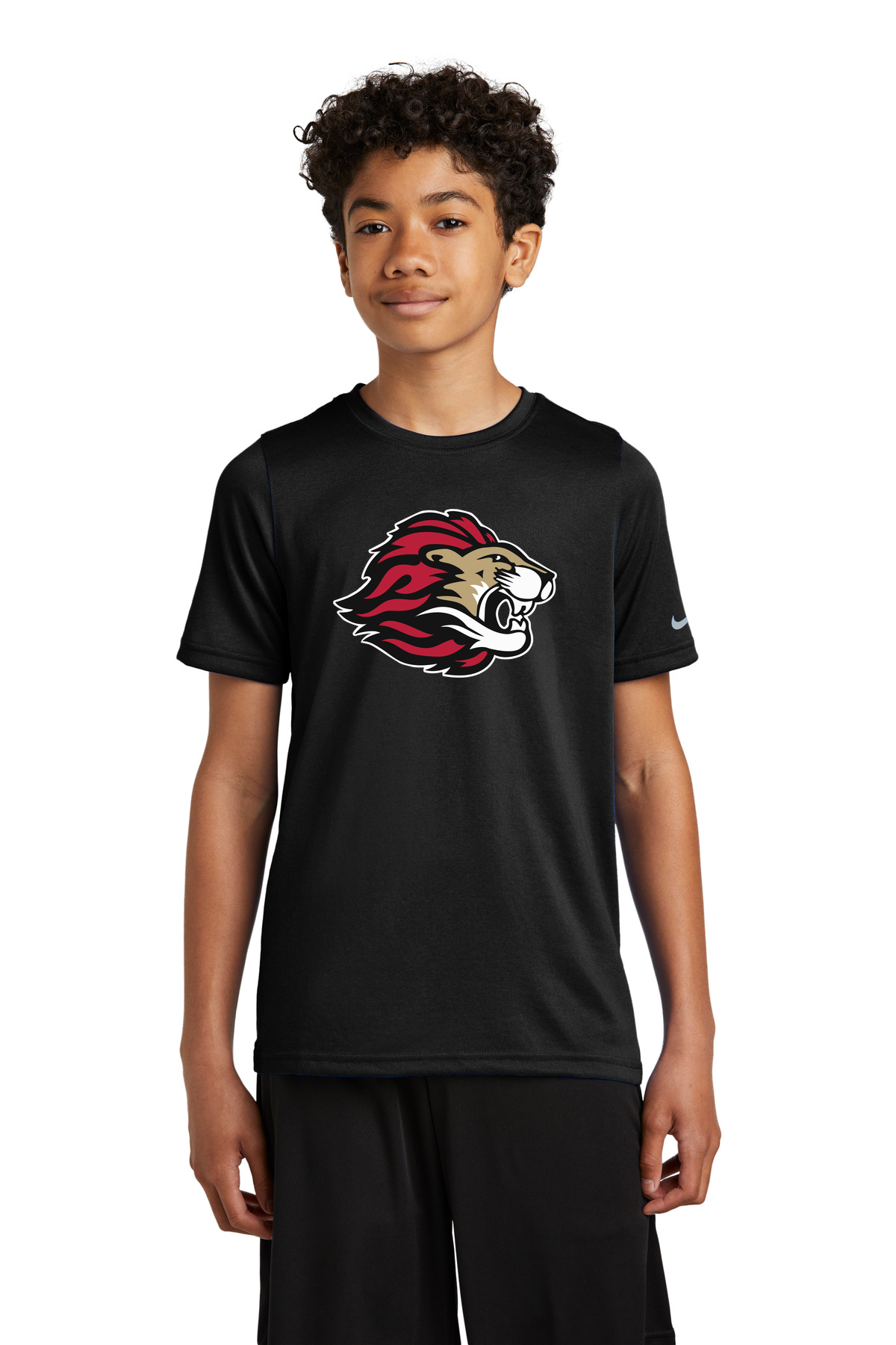 Spring Grove Football - Black Nike Youth Swoosh Sleeve rLegend Tee NKDX8787