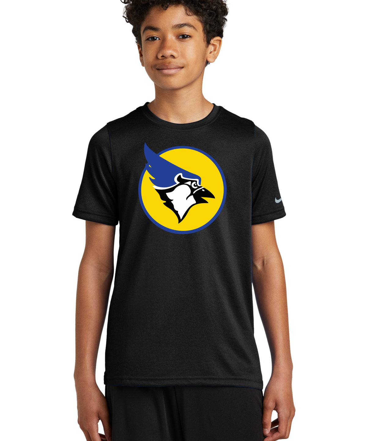 Waseca Football - Black Nike Youth Swoosh Sleeve rLegend Tee NKDX8787