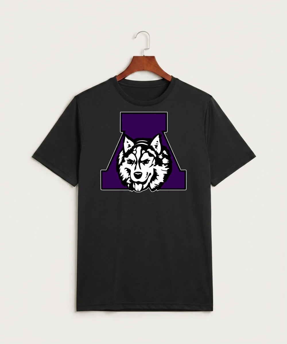 Albany High School Football (Boys) - Black Sport-Tek PosiCharge Competitor Tee. ST350
