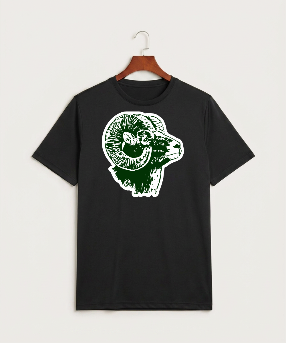 Roseau High School Football (Boys) - Black Sport-Tek PosiCharge Competitor Tee. ST350