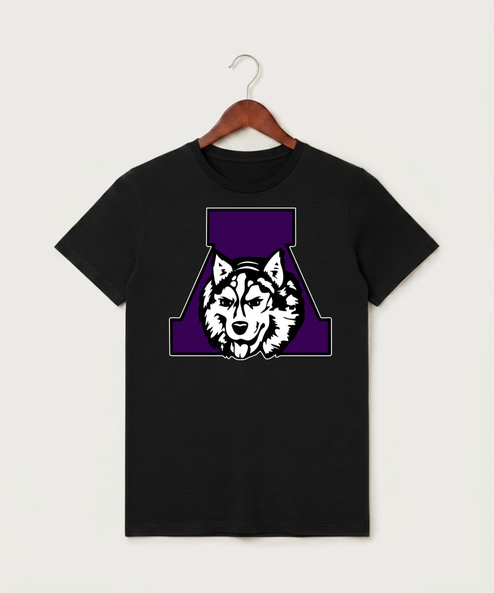 Albany High School Athletics - Black T-Shirt - Full Front